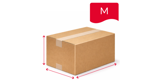Parcel M (up to 31 kg | max. 70 cm)