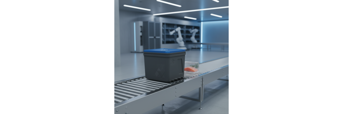 Der Meisterleitfaden für den Tiefkühlversand: Maximale Frische und Rentabilität mit BOXXcool - Tiefkühlversand optimieren mit BOXXcool | BOXXCO