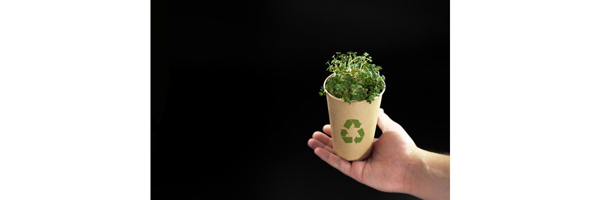 Nachhaltige Verpackung – Kartons als umweltfreundliche Version - Nachhaltige Verpackung – Kartons als umweltfreundliche Version