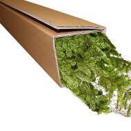 Endloswellpappen 2-wellig 150x200 mm (H x B)