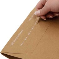Paper mailing bags 350x250x-50 mm (Maxibrief)