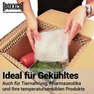 BOXXcool folding boxes with honeycomb inlay | 237x187x190 mm | 7.5 liters