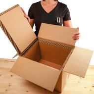 BOXXcool Faltkartons mit Wabeninlay | 307x227x230 mm | 15...