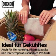BOXXcool Faltkartons mit Wabeninlay | 307x227x230 mm | 15 Liter