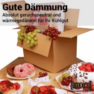 BOXXcool Faltkartons mit Wabeninlay | 307x227x230 mm | 15 Liter