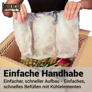 BOXXcool folding boxes with honeycomb inlay | 307x227x230 mm | 15 liters