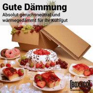 BOXXcool folding boxes with honeycomb inlay | 407x227x230 mm | 20 liters