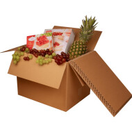 BOXXcool Faltkartons mit Wabeninlay | 387x287x290 mm | 30 Liter