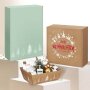 Präsentkartons Modern Christmas | 3 Wein-/Sektflaschen | 360x250x95 mm