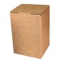 Bag-in-Box cartons 10 liters