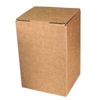 Cartons Bag-in-Box indiv. standard print 5 litres, 2c print