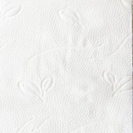 Toilet paper 3-ply bright white