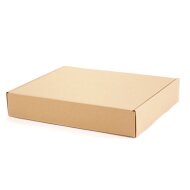 Folding boxes brown 500x400x90 mm