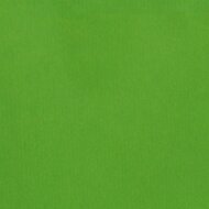 Paper carrier bags 320x120x410 mm|ribbed|green