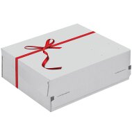 GiftBOXX with self-adhesive closure 241x166x94 mm