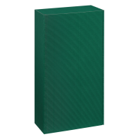 Präsentkarton Grün - stabile & nachhaltige...