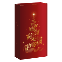 Präsentkarton Christmas Melody für 2 Flaschen...