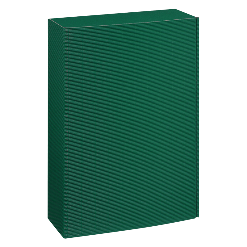 Präsentkarton Grün - stabile & nachhaltige Verpackungslösung aus Wellpappe