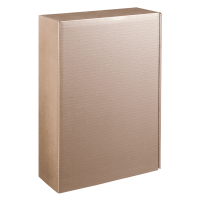 Präsentkarton Intenso Metallic-Gold - stabile &...