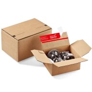 Automatic bottom boxes with tear perforation 230x160x125...