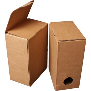 1,09€/1Stk 100Stück 5 Liter Bag in Box Karton in bourdeaux 