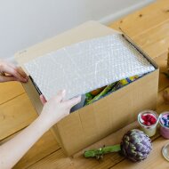 Folding boxes with multi-layer insulation film | 260x160x120 mm | 5 liters