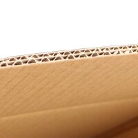 Export bottle cartons without compartments |...