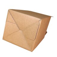 Kartons Bag-in-Box indiv. Standarddruck 3 Liter, 2c-Druck