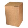 Kartons Bag-in-Box indiv. Standarddruck 5 Liter, 2c-Druck
