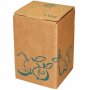 Cartons Bag-in-Box indiv. standard print 5 litres, 2c print