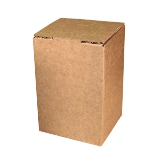 Bag-in-Box cartons 5 liters