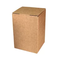 Cartons Bag-in-Box 5 litres
