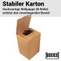 Bag-in-Box cartons 5 liters